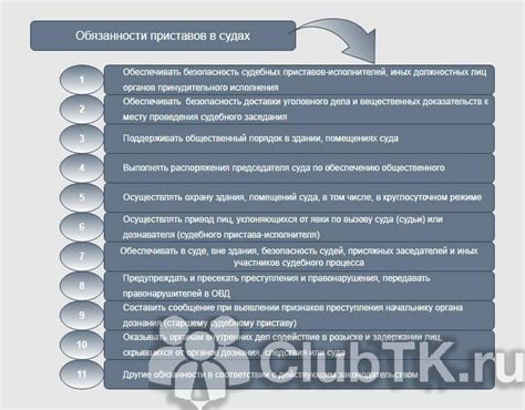 Обязанности и ответственность судебных приставов в РФ