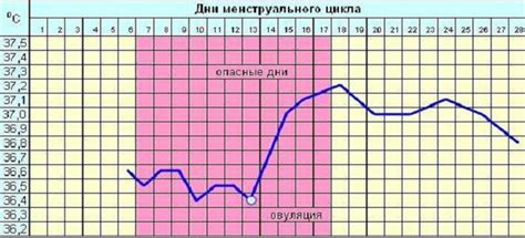 Овуляция и изменение формы живота