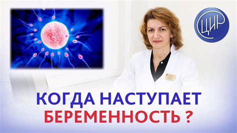 Овуляция и оплодотворение