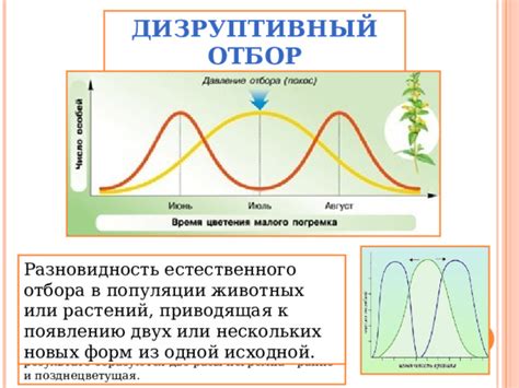 Огонь из гниющих растений: использование естественного окисления