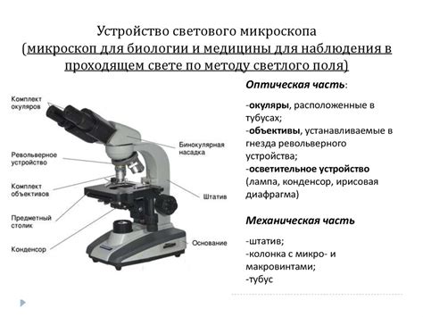 Ограничения наблюдения микробов в микроскоп