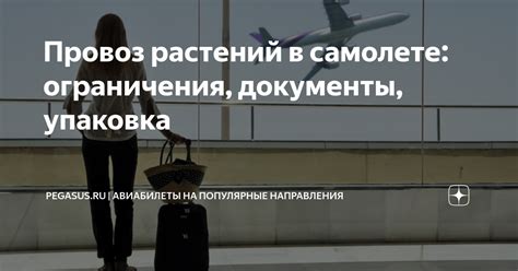 Ограничения на провоз цветов в самолете