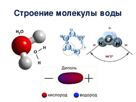 Одинаковость молекул воды