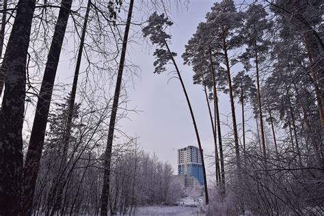 Ожидаются холода в Свердловской области