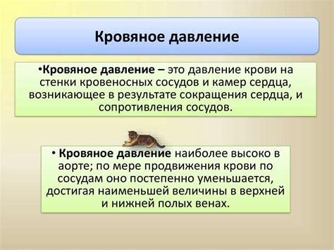 Оздоровительные процедуры и профилактика заболеваний лимфы