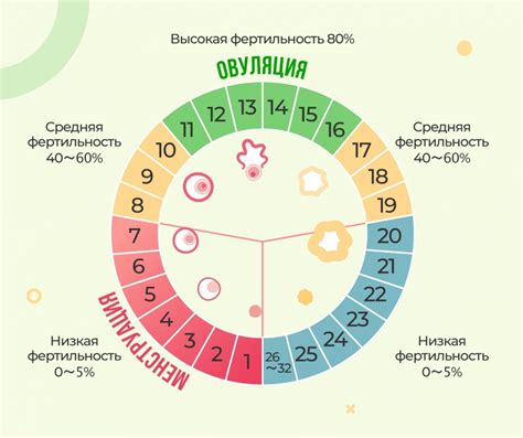 Окно возможности зачатия: определяем наиболее благоприятные дни