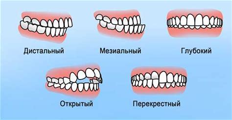 Опасности и проблемы, связанные с неправильным обращением с кроликами