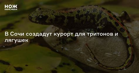 Опасность для тритонов