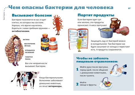 Опасность заражения бактериями и паразитами