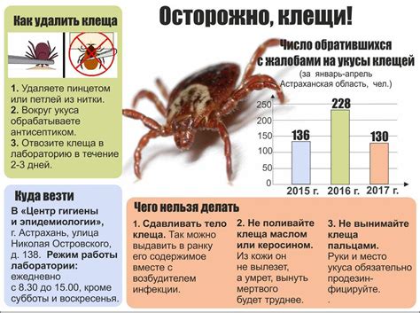 Опасность и возможные последствия глубокого проникновения клеща