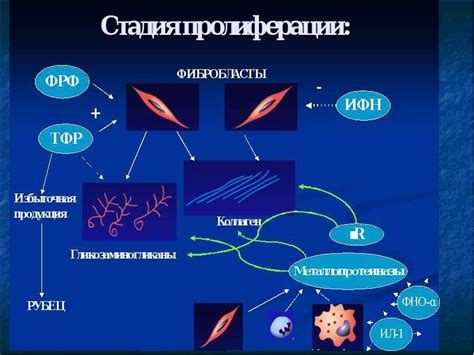 Опасность усиления воспалительного процесса