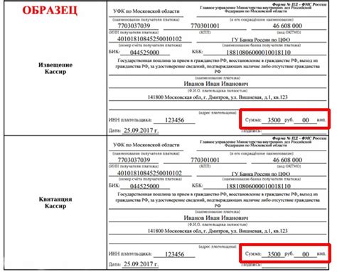 Оплата госпошлины: возможно ли сделать это за другого человека?