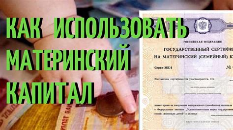 Оплатить автошколу: реально ли использовать материнский капитал?