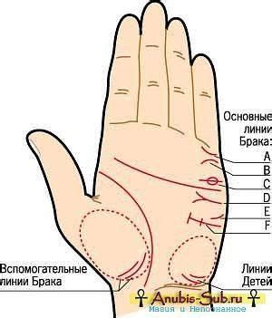 Определение венца безбрачия у мужчины