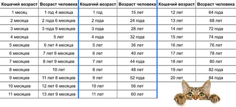 Определение возраста и физической подготовки котенка