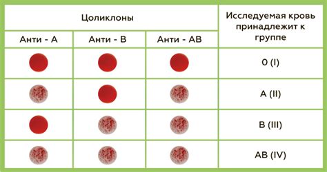 Определение группы крови без учета фактора резус