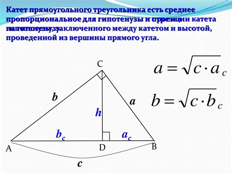 Определение длины отрезка в треугольнике