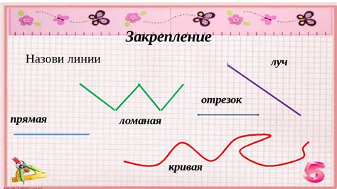 Определение и виды сплошных линий