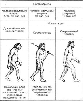 Определение и происхождение прополиса