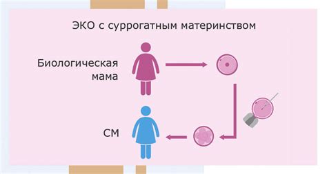 Определение и юридический статус суррогатного материнства