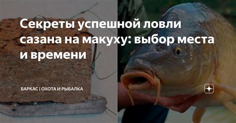 Определение места и времени для ловли