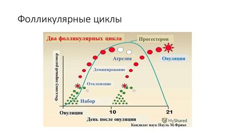 Определение оптимального времени зимнего укрытия