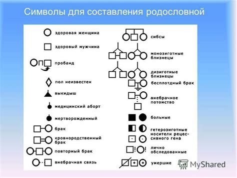 Определение поколений в родословной