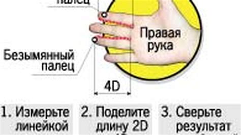 Определение пропорций и полезные советы