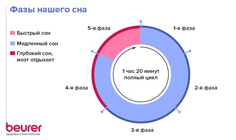 Определение сна и его роль