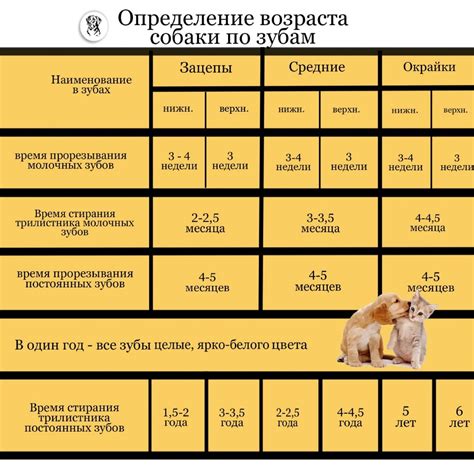 Определение срочности состояния питомца