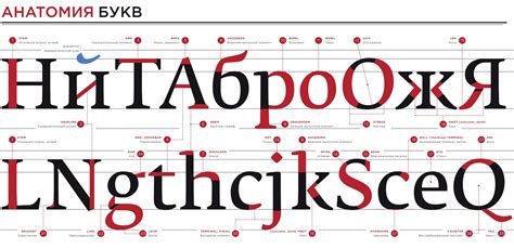 Определение эффектного АЧС шрифта