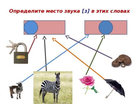 Определите место длореца: