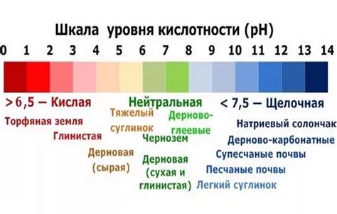 Определите pH-уровень