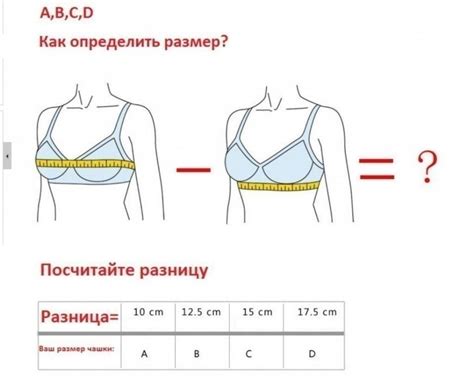 Опросы и исследования на тему размера груди и привлекательности