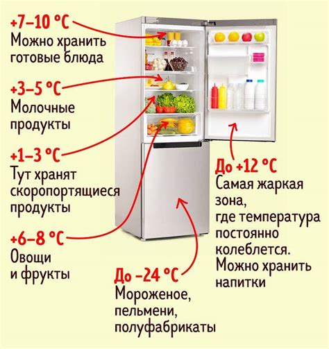 Оптимальная температура для хранения креветок в морозильной камере