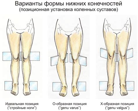 Оптимальное расположение стоп и коленей