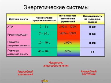 Оптимальное сочетание мощности и экономичности