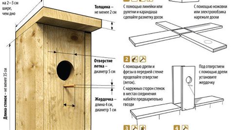 Оптимальные условия для гнездования скворцов