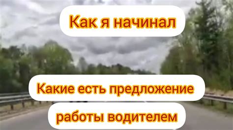 Оптимальные условия работы водителя с цветоаномалией