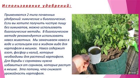 Оптимальный режим орошения культурных растений в осень