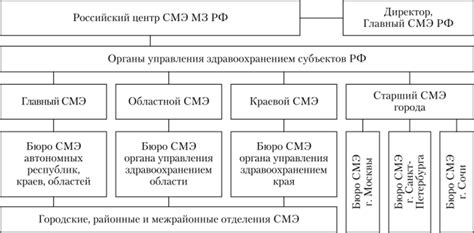 Организация и структура ГАИ