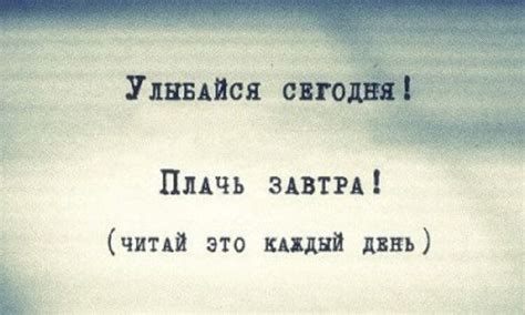 Основные вещи, о которых следует помнить при использовании фена для сушки кота