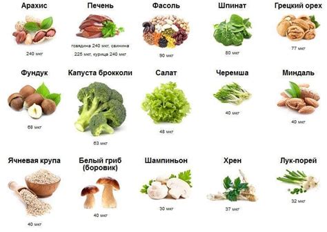 Основные источники фолиевой кислоты в питании