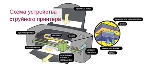 Основные компоненты принтера