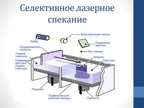 Основные компоненты сканера