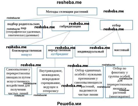 Основные методы настройки брутфорса