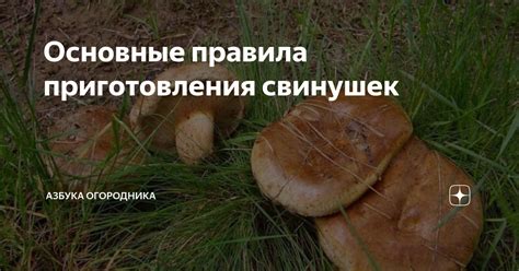 Основные правила приготовления бефстоганов