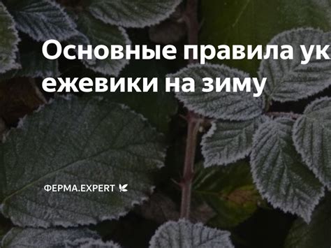 Основные правила укрытия