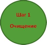 Основные правила ухода за баданом