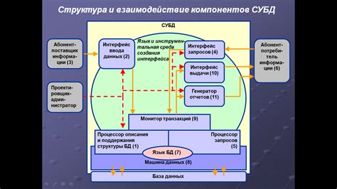 Основные представления